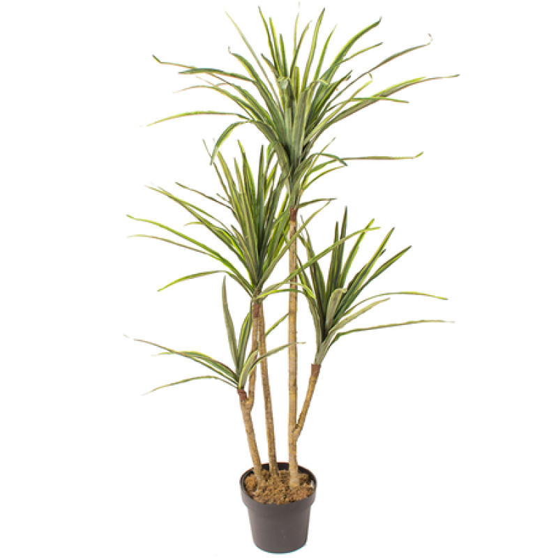 Mākslīgais augs DRACAENA 1.40m